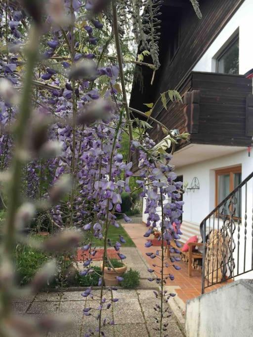 Charmantes Landhaus Mit Garten Und Traumhaftem Fernblick Thal  외부 사진