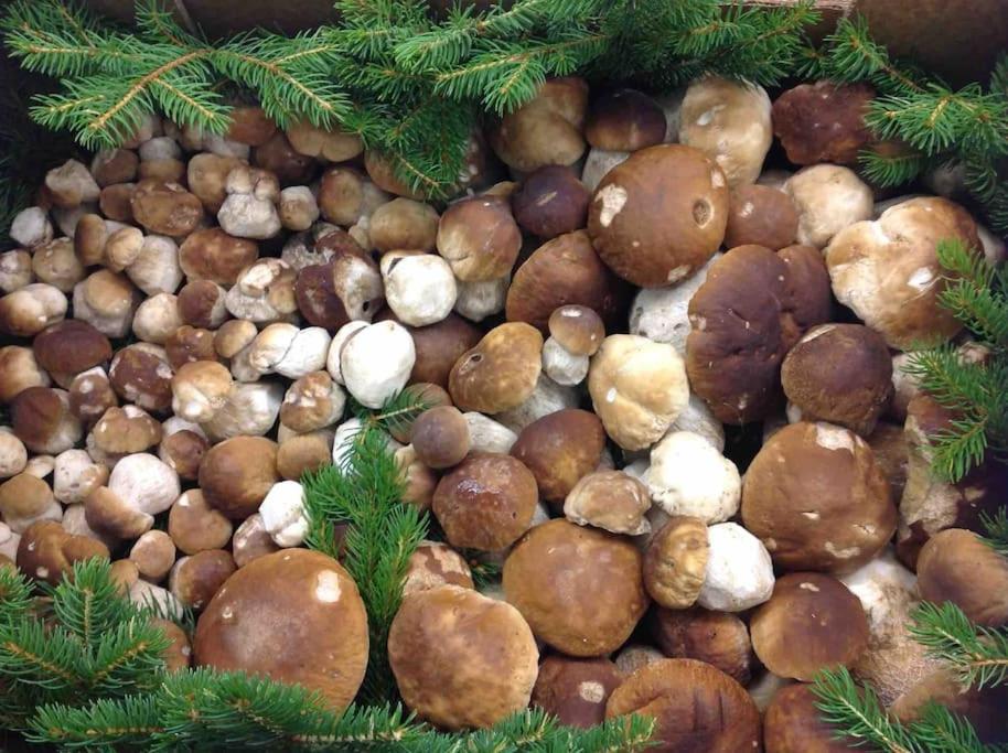 Charmantes Landhaus Mit Garten Und Traumhaftem Fernblick Thal  외부 사진