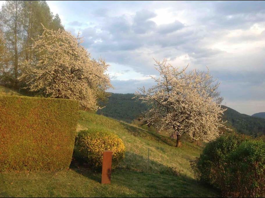Charmantes Landhaus Mit Garten Und Traumhaftem Fernblick Thal  외부 사진